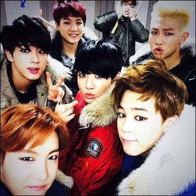 Leurs fans se nomment ?