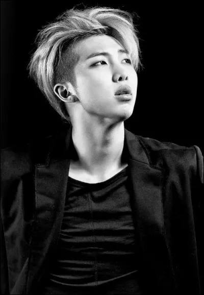 Quel est le signe astrologique de Rap Monster ?