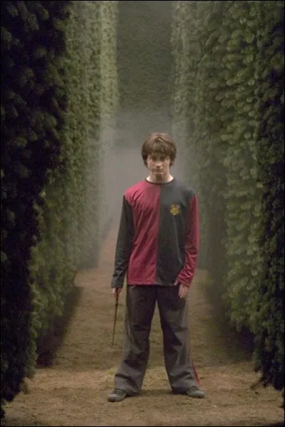 Dans quel tome est-ce ?