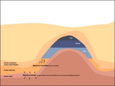 Est-il exact que fut donné au pétrole le nom d'huile de roche ?