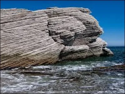 Les calcaires sont des roches sédimentaires.