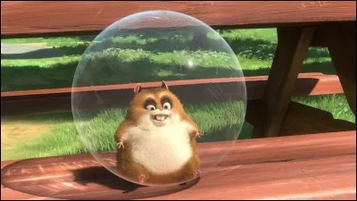Comment s'appelle le hamster ?