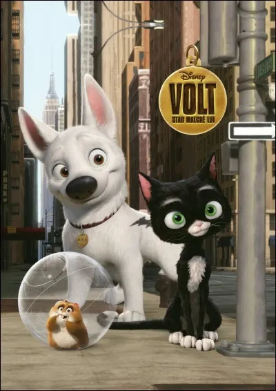 Happpy end ! En est-ce un ?