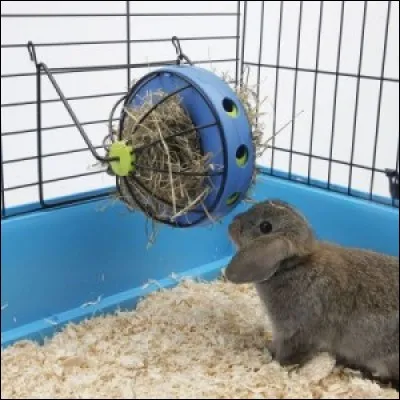 Quelle est la dimension moyenne pour une cage de lapin ?