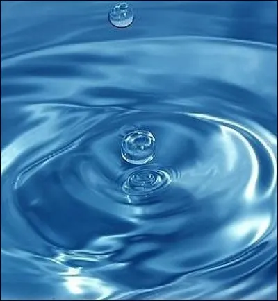 Pour son eau, il est préférable de mettre...