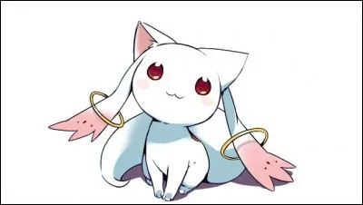 Un petit animal pas si mignon que ça, au final... Comment s'appelle-t-il ?