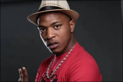 Qui est ce chanteur ?