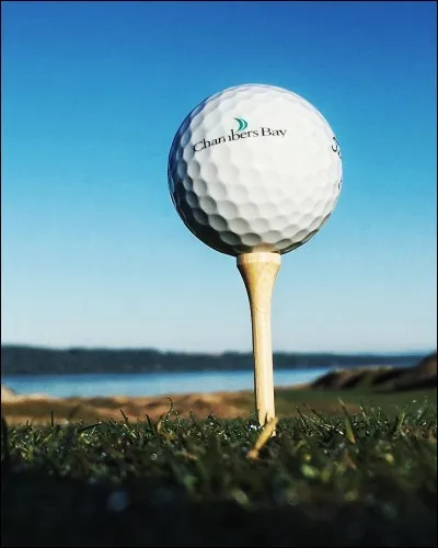 Quel ancien sport olympique, exercé en 1900 et 1904, est revenu aux Jeux olympiques de Rio en 2016 après 112 ans d'absence ?