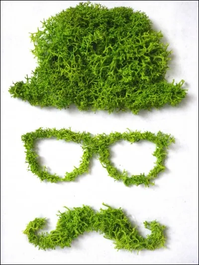 Quel accessoire choisirais-tu parmi ceux ci-dessous ?