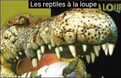 Quel livre lirais-tu plusieurs fois si tu pouvais ?