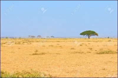 Quel territoire est le plus adapté à ton goût ?