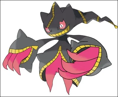 Quel est ce Pokémon ?