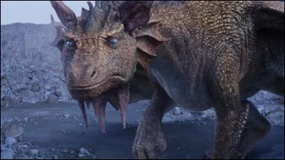Comment s'appelle ce dragon ?