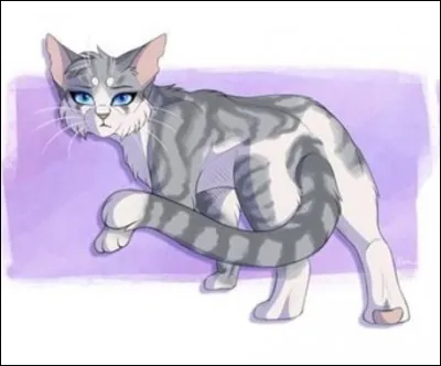 Aile de Colombe a une sur. Celle-ci est plutôt :