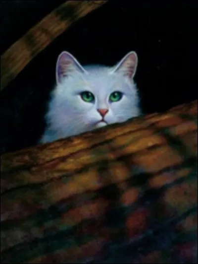 Quel est le physique d'Aile de Colombe ?