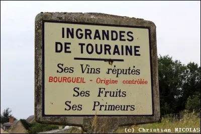 Quel département n'est pas limitrophe de l'Indre-et-Loire ?