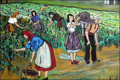 Quand il faut arracher en partie pour replanter, qu'enlève-t-on pour commencer ?