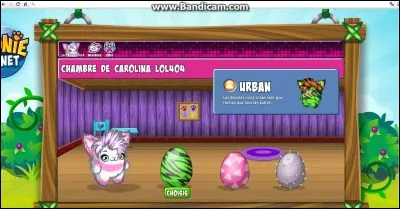 Comment appelle-t-on les nouveaux animaux ?