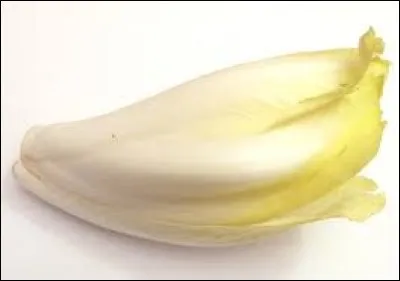 Quelle saveur prédomine dans l'endive ?