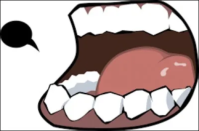 Les papilles qui captent la saveur sucrée se situent :