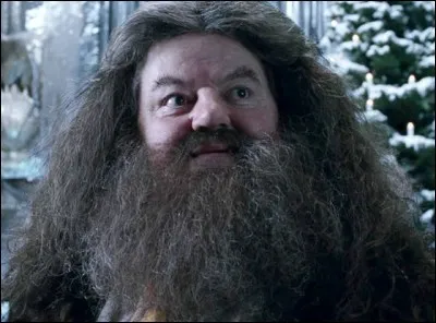 Quel est le nom de ce personnage ? (Personnage très attachant)