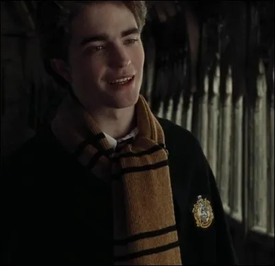 Quel est le nom de ce personnage ? (Personnage principal de Poufsouffle)