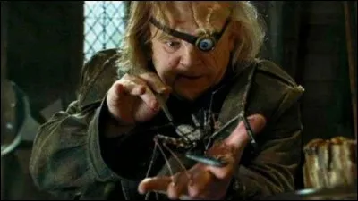 Quel est le nom de ce personnage ? (Utilisant le sortilège interdit endoloris)