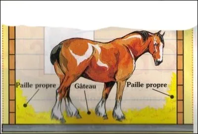 Comment s'appelle ce type de litières ?