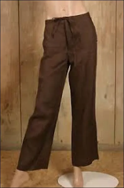 Ce pantalon est à 100 euros, il est cher !