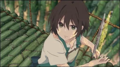 Quel âge a Chakuro ?