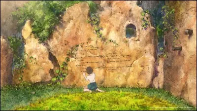 Qui est l'auteur du manga ?