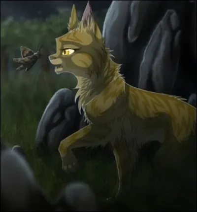 Qui lui a montré l'aile de papillon comme signe ?