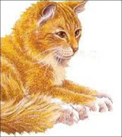 Quand Papillon a appris qu'elle ne prenait pas le bon destin, quelle a été sa réaction ?