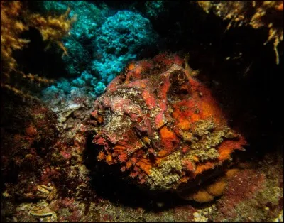 Si vous marchez dessus, vous allez le regretter !