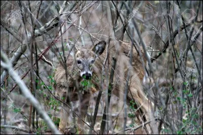 Une petite pause, pour souffler un peu !