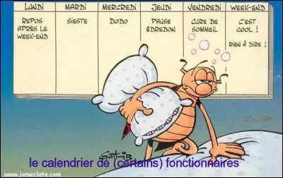 Le métier des fonctionnaires consiste à...