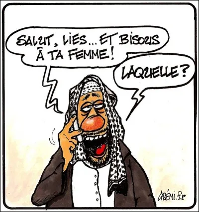 Les hommes qui ont plusieurs femmes sont...