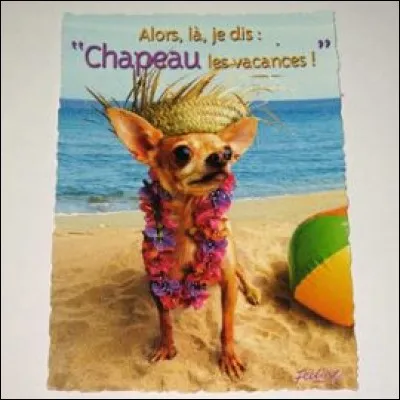 Le père de Julie [...] pris de belles photos.