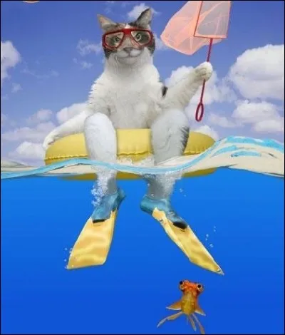 Julie [...] déjà choisi celle qu'elle montrera [...] ses amies.