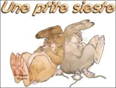 Elles [...] besoin de faire une sieste.