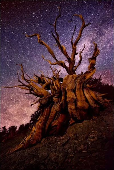 Quel est le nom de cette magnifique photo prise par Doug Solis ?