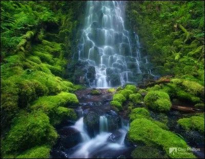 Et celui de cette photo prise par Philips Chip ?