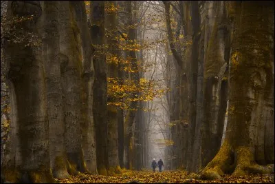 Par quel photographe allemand cette photo a-t-elle été prise ?