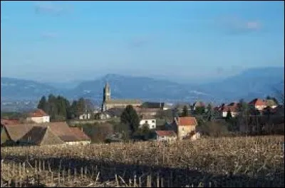 Je vous propose une balade dans le Dauphiné, à Dolomieu. Ville d'Auvergne-Rhône-Alpes, elle se trouve dans le département ...