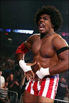 Qui est ce lutteur ?