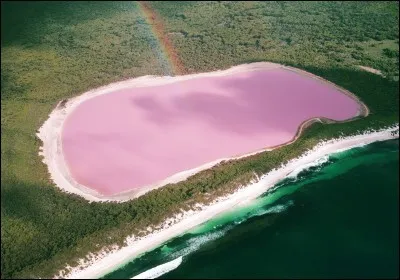 Il donne normalement son nom à une couleur de viande et toutes les autres déclinaisons culinaires sont donc abusives.