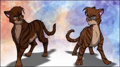 À quel clan appartiennent-ils ?