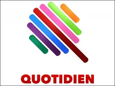 Télévision - Qui présente l'émission "Quotidien" et anciennement "Le Petit Journal" ?
