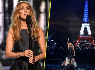 Céline Dion a chanté cette chanson en 2012.
