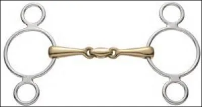 Qu'est-ce qui est représenté sur l'image ?